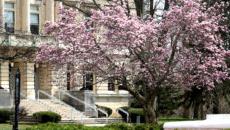 View of the conservatory in the spring